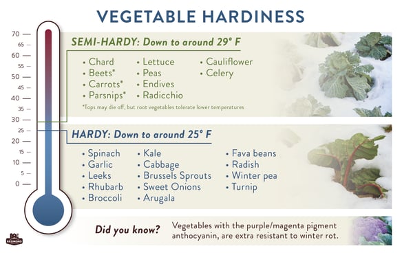 cold hardy vegetables