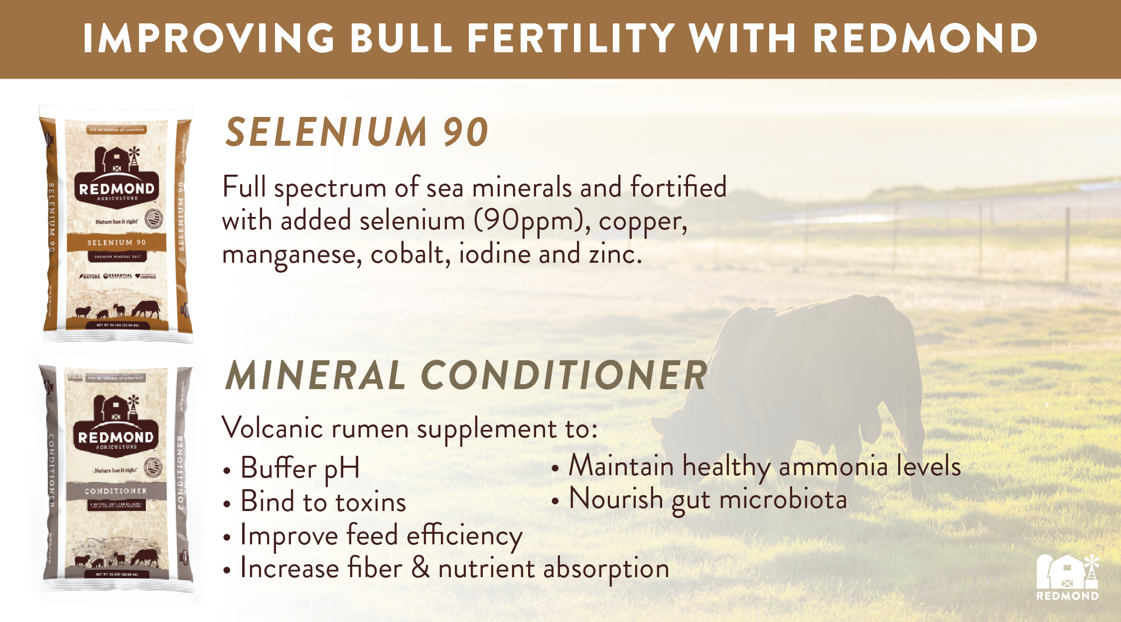 Supplements to improve bull fertility