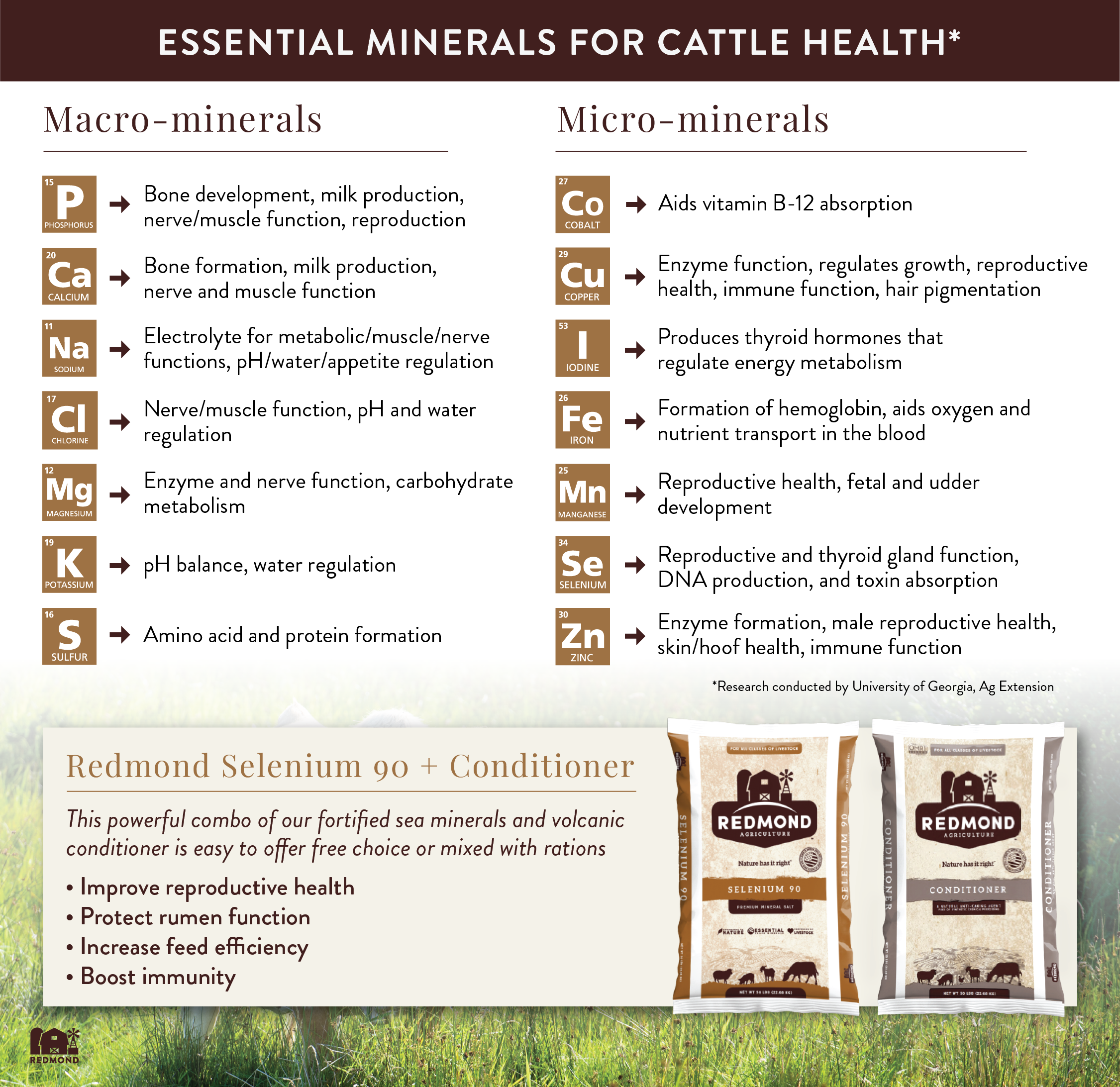 Essential minerals for cattle health