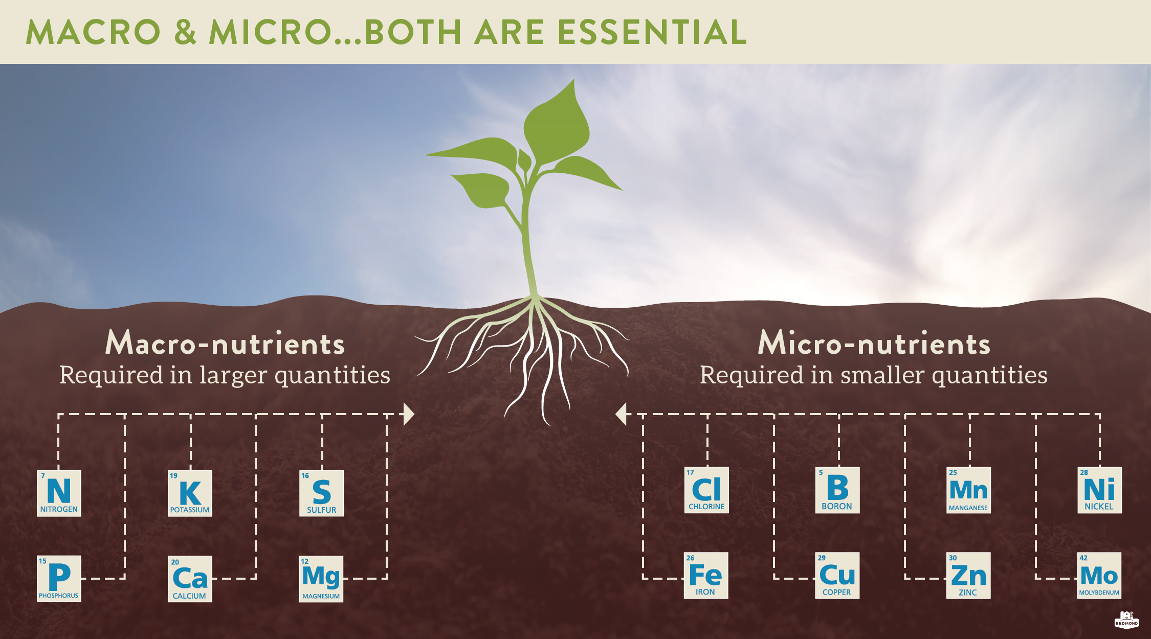micro and macro nutrients plants
