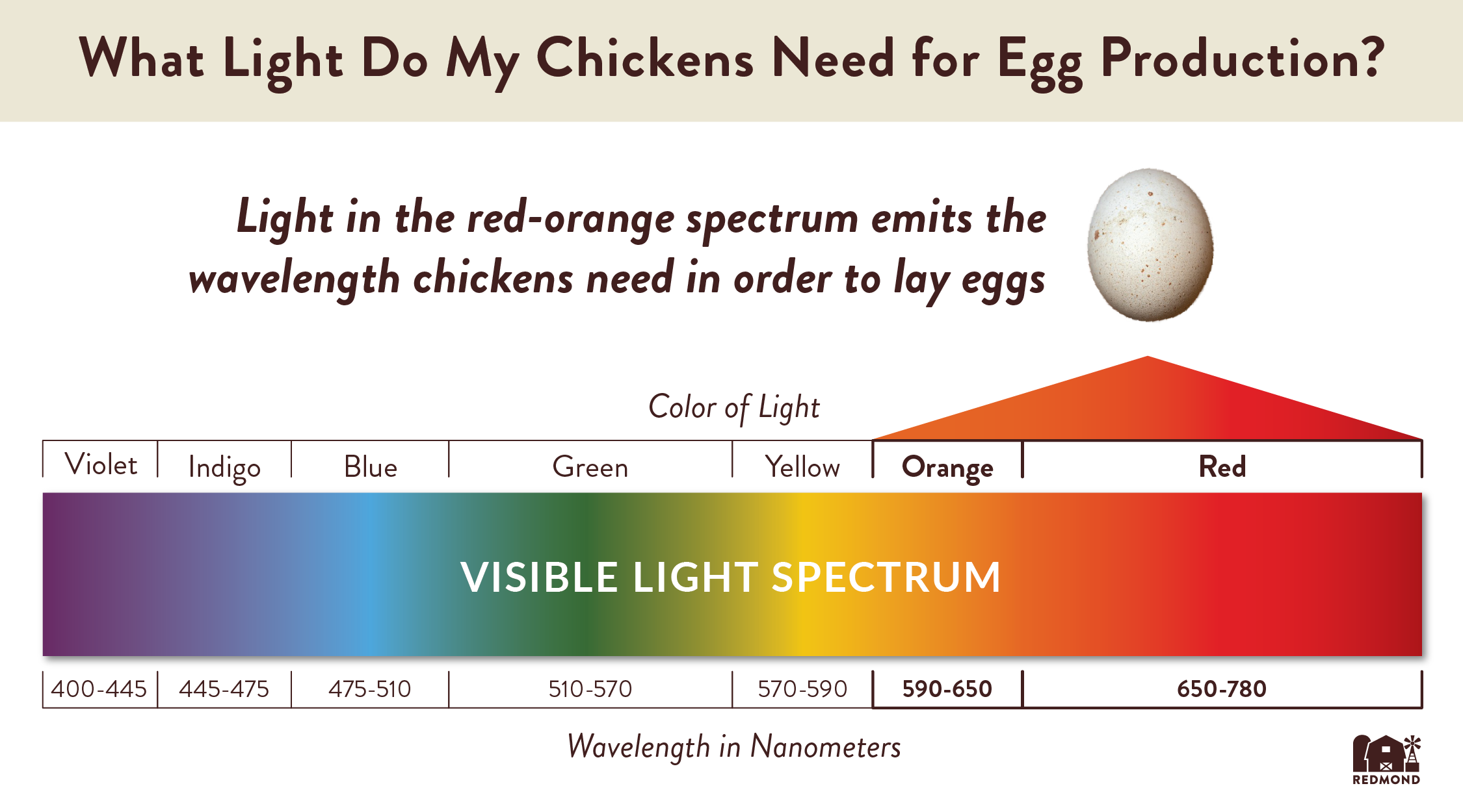 What light do my chickens need for egg production