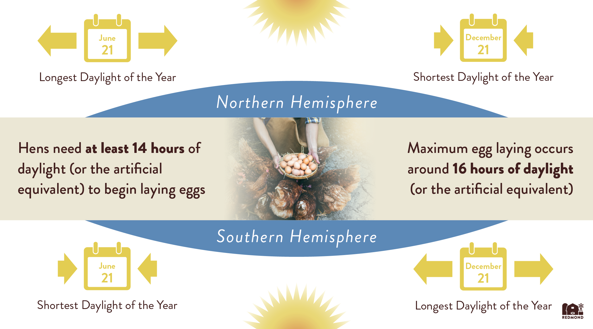 light schedule and egg production