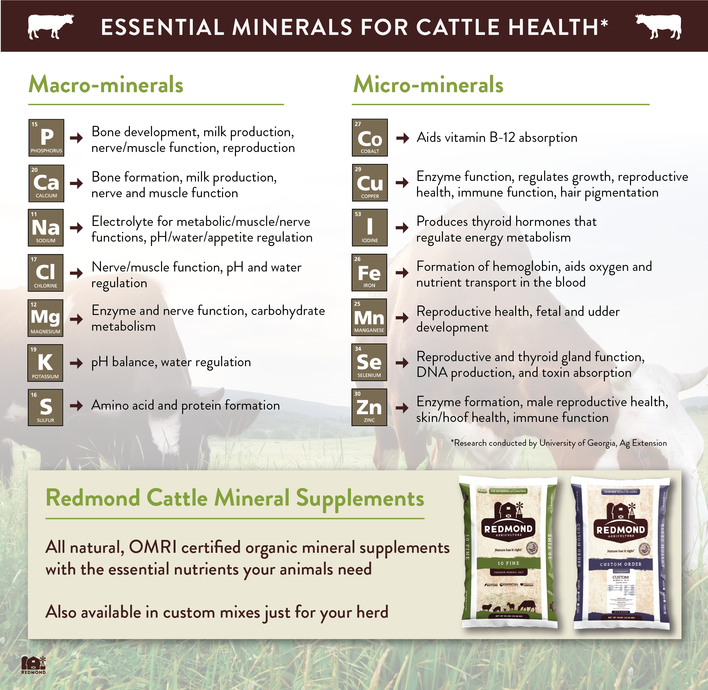 Essential minerals for cattle