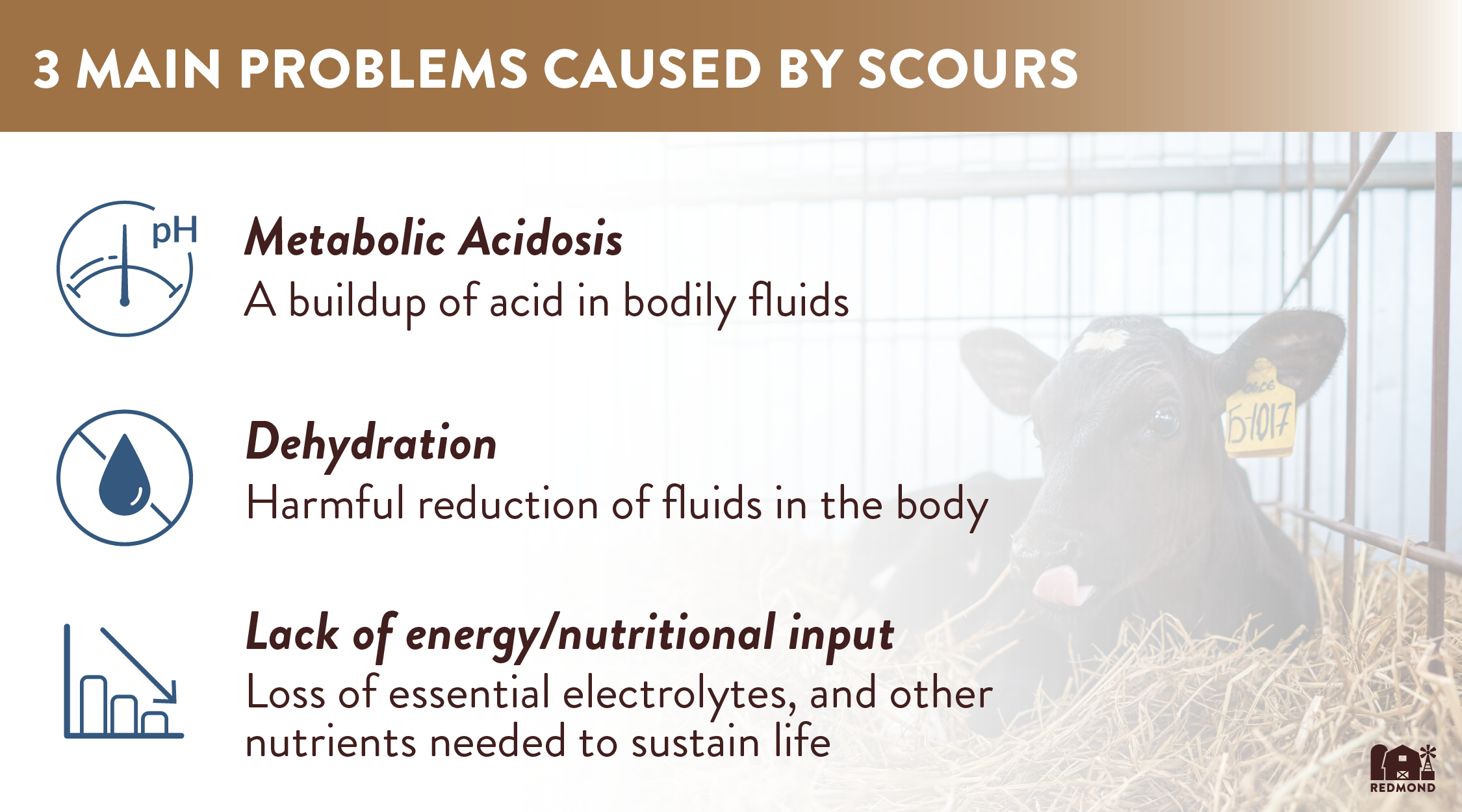 3 main problems caused by scours