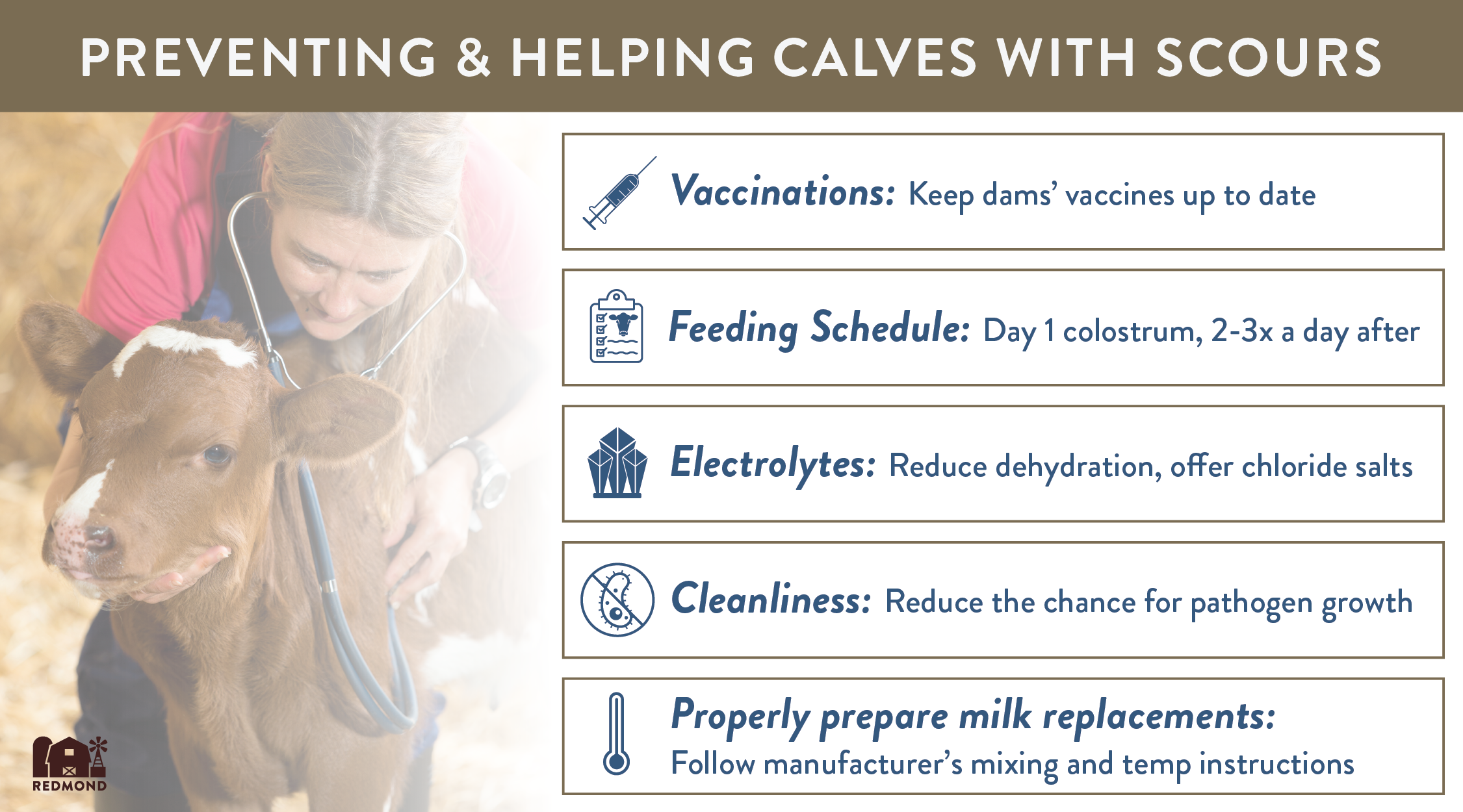 Preventing and helping calves with scours
