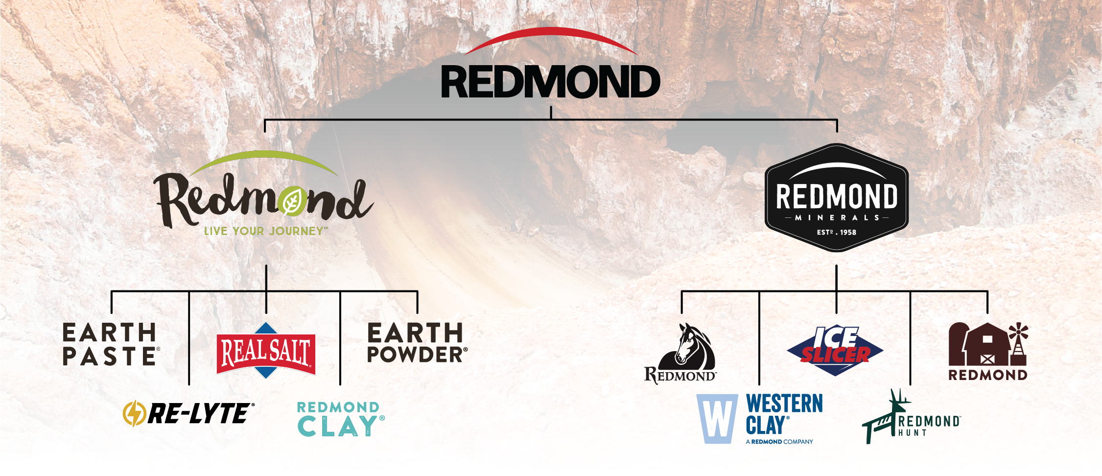 The Redmond family of products