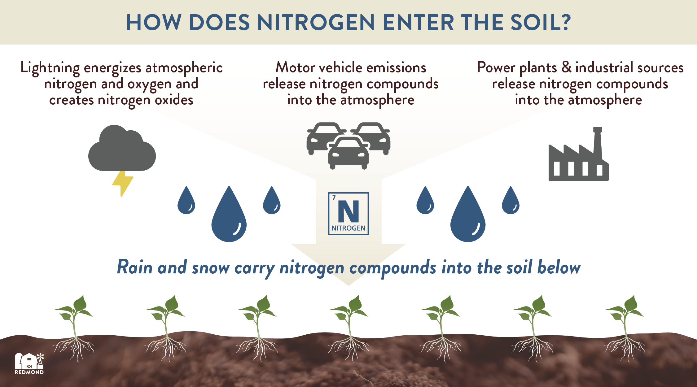 how does nitrogen get into the soil nitrogen cycle