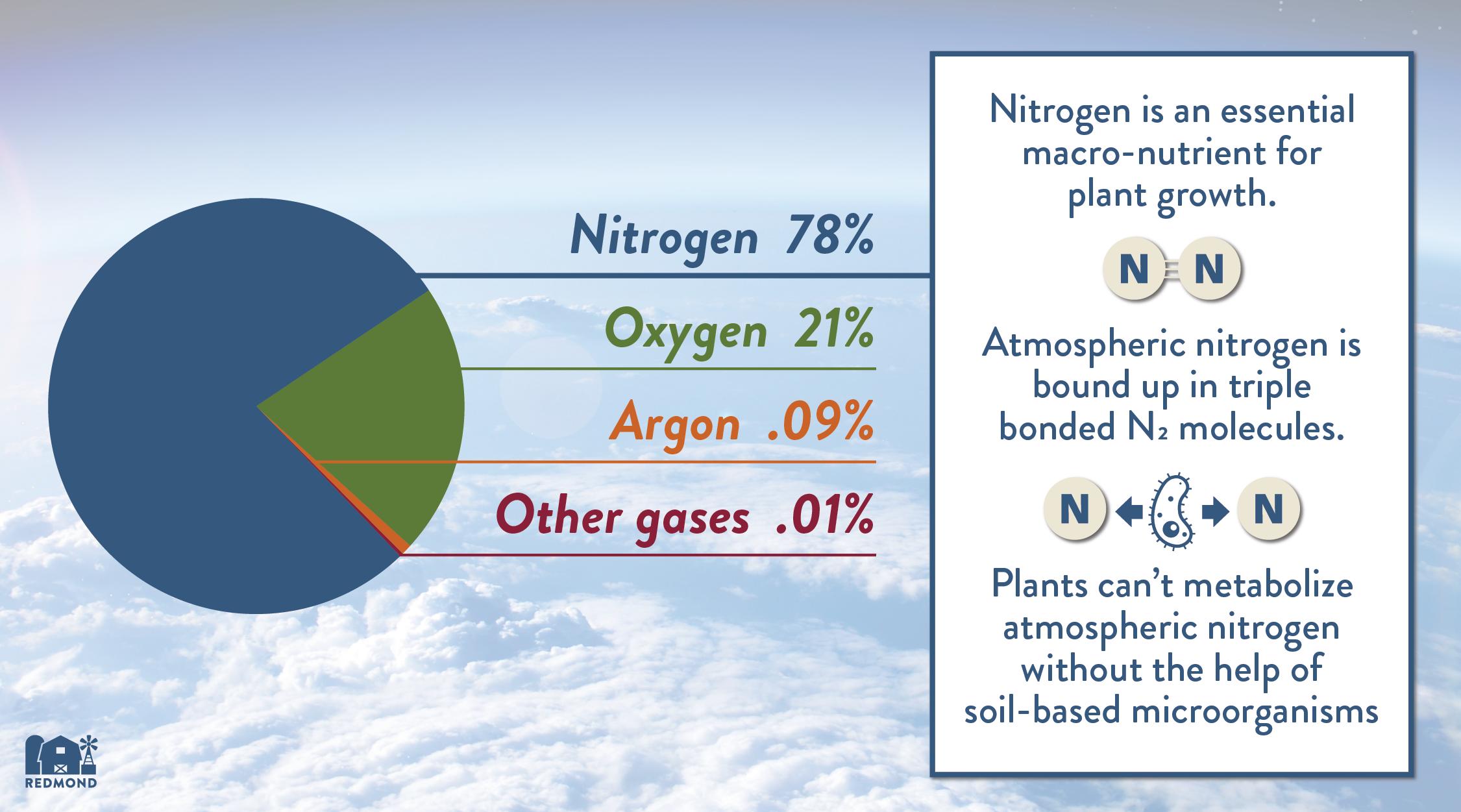 plants and atmospheric nitrogen