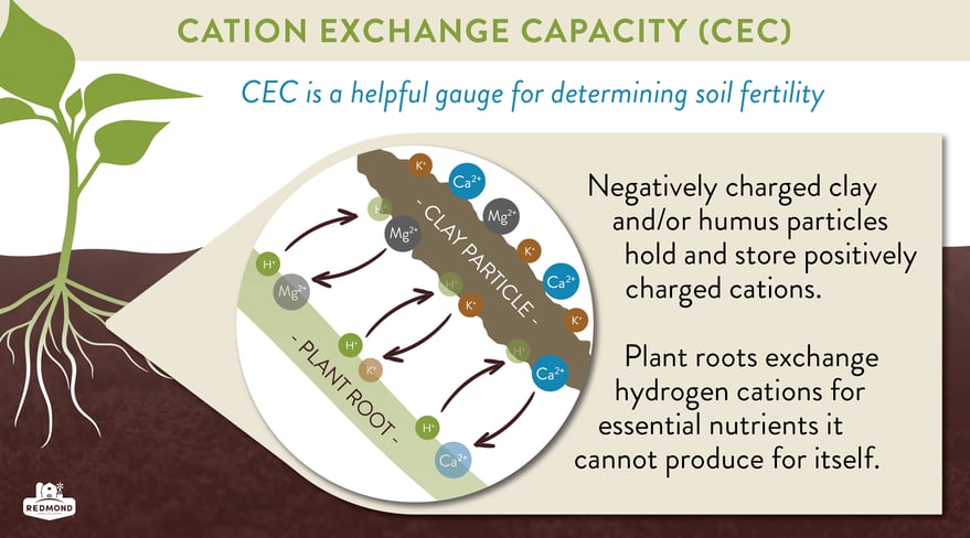 Soil EC (Electrical Conductivity) And CEC (Cation Exchange Capacity)