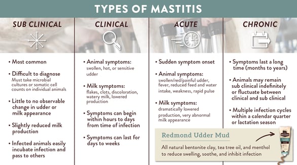 Types of mastitis