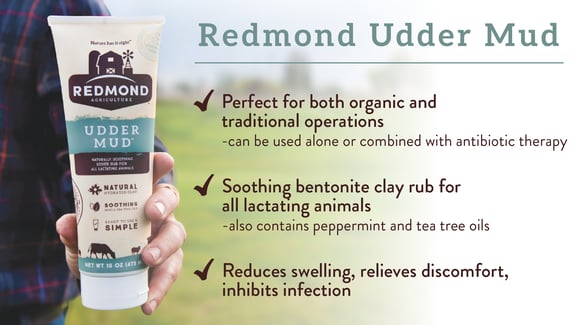 Redmond Udder Mud mastitis treatment